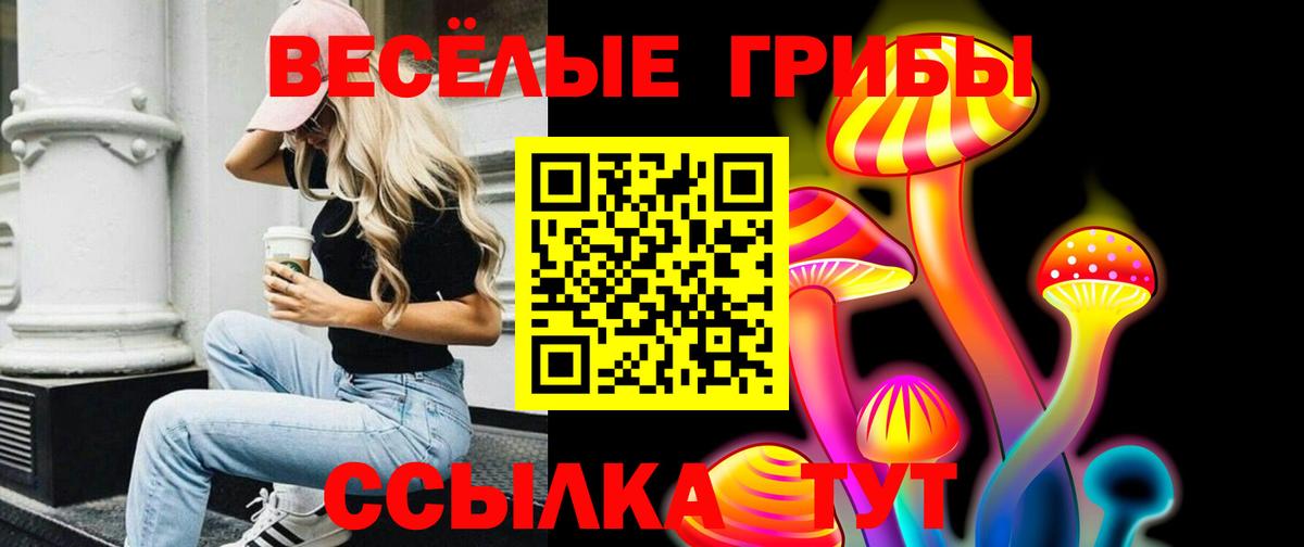Туймазы  где можно купить наркотик  Вход с VPN  Псилоцибиновые грибы мухоморы 